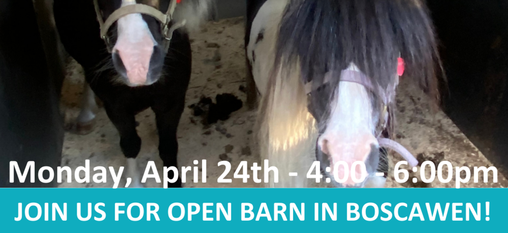Open Barn April 24, 2023